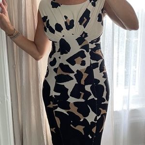 Roberto Cavalli Leopard Print Dress